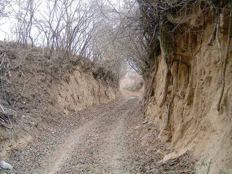 20111210 038.jpg
